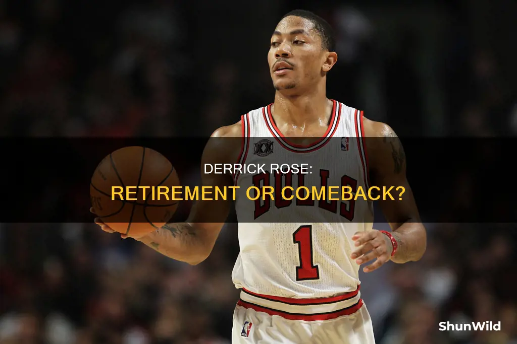 did derrick rose retire from basketball