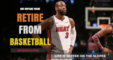 Wade's Basketball Legacy: Retirement and Achievements