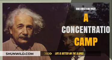 Einstein and Concentration Camps: Unraveling the Historical Truth