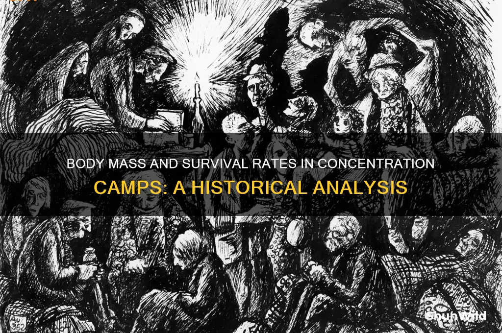 did fat people live longer in concentration camps