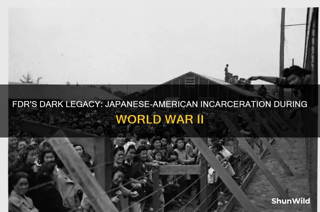 did fdr put americans of japanese descent into concentration camps