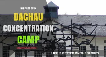 Did Fires Engulf Dachau Concentration Camp? Unraveling Historical Truths