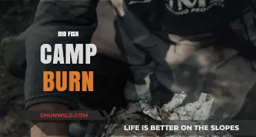Fish Camp Fire: Unraveling the Truth Behind the Burning Rumors