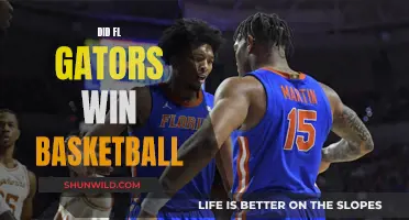 Florida Gators Basketball Triumphs: Did They Win?