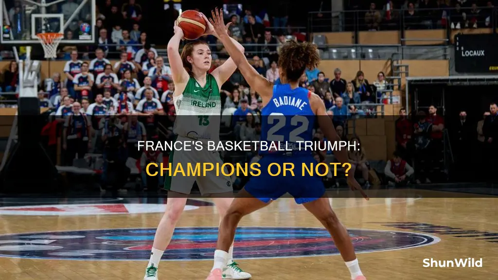 did france win basketball