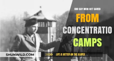 Gay Men's Fate in Concentration Camps: A Forgotten History