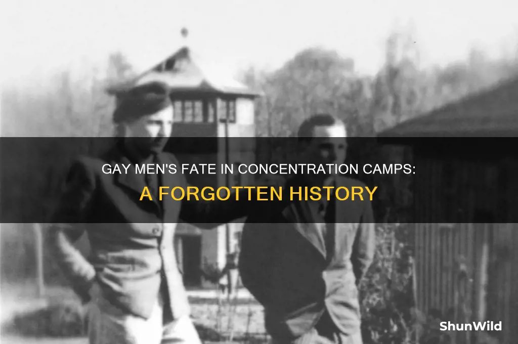 did gay men get saved from concentration camps