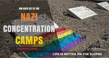 The Forgotten Victims: Gays in Nazi Concentration Camps