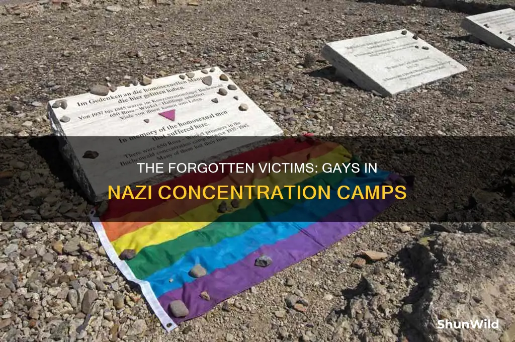 did gays go to the nazi concentration camps