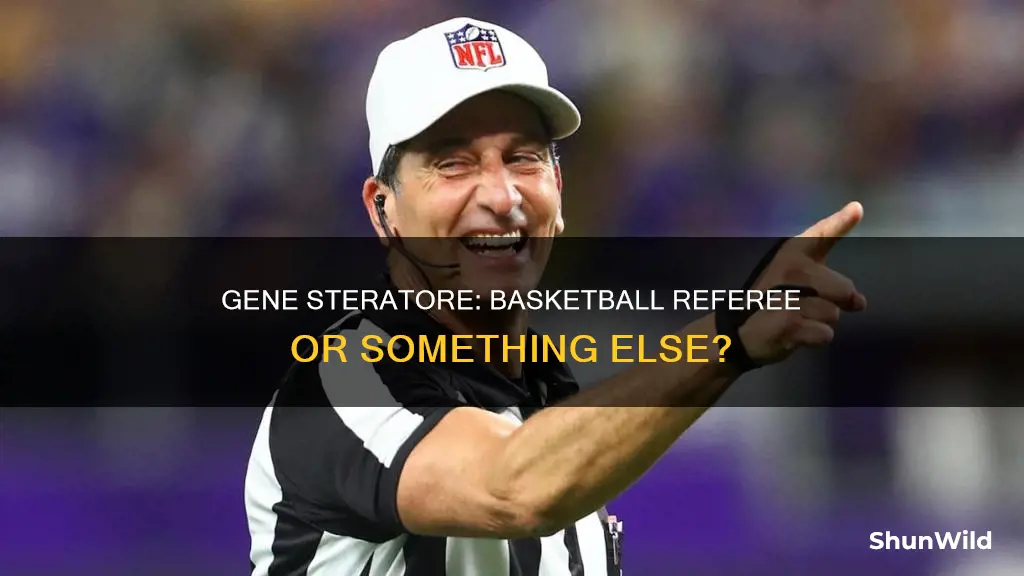 did gene steratore ref basketball
