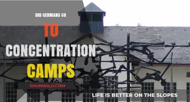 Were Germans Interned in Concentration Camps During World War II?