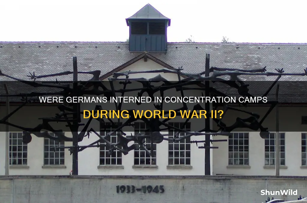 did germans go to concentration camps