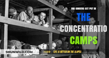 Were Redheads Targeted in Concentration Camps? Historical Facts Explained