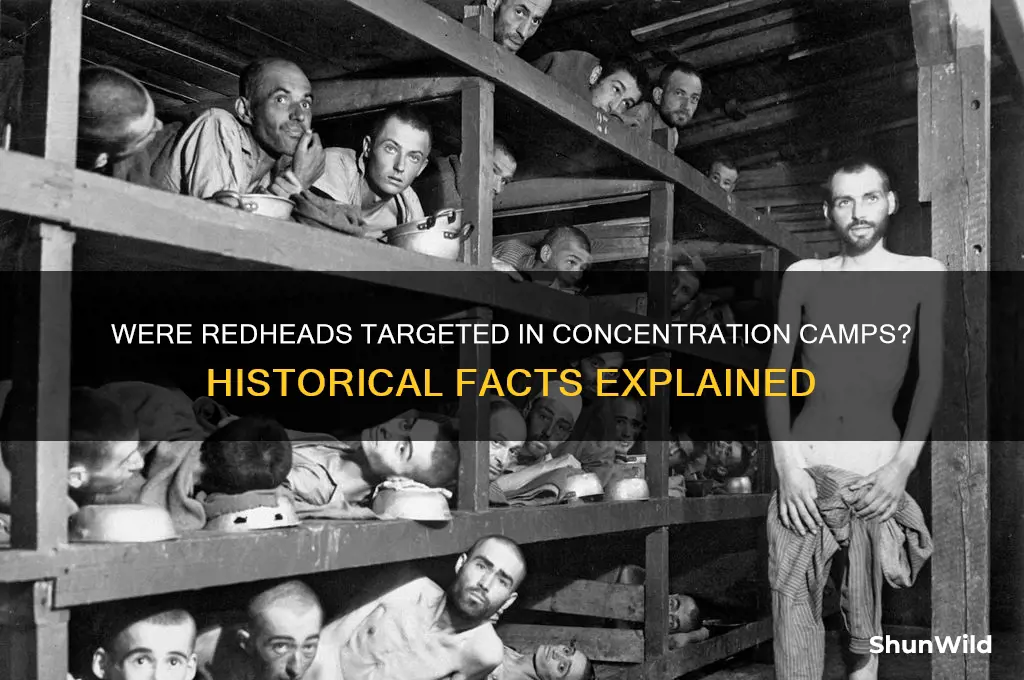 did gingers get put in the concentration camps