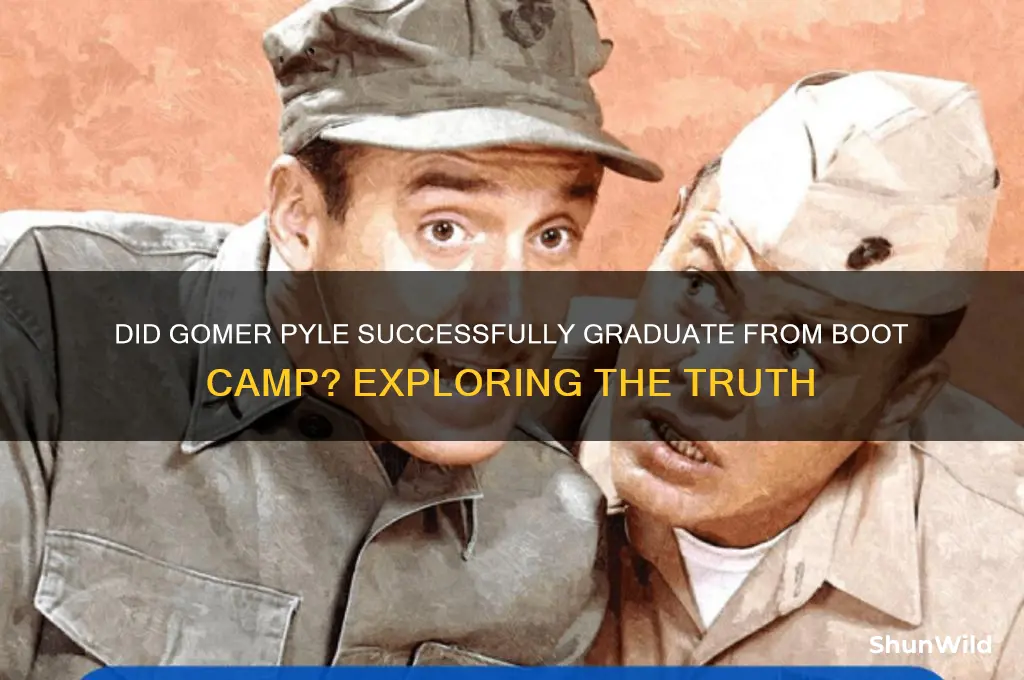 did gomer pyle graduate boot camp