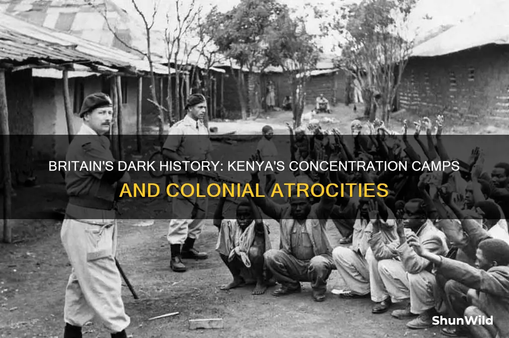 did great britain put people in kenya in concentration camps