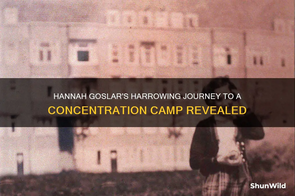 did hannah goslar go to concentration camp