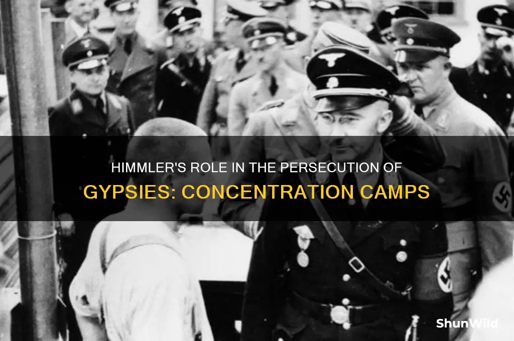 did himmler order gypsys into concentration camps