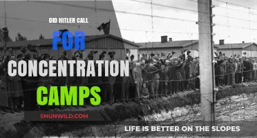 Hitler's Role in Establishing Concentration Camps: Historical Insights