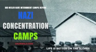 Hitler's Early Internment Camps: Precursors to Nazi Concentration Camps?