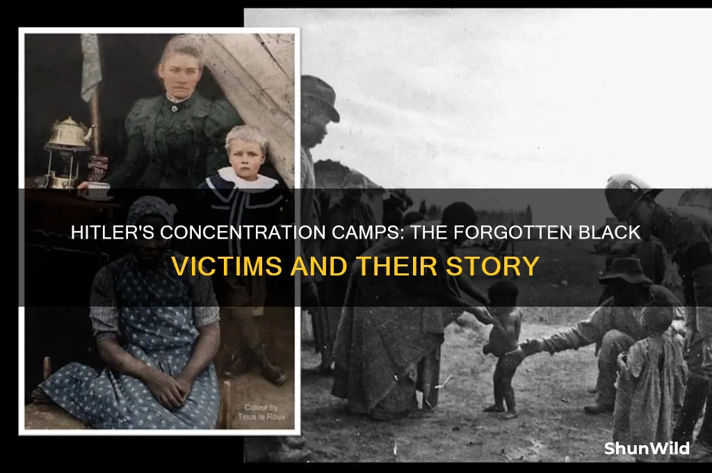 did hitler put black people in concentration camps