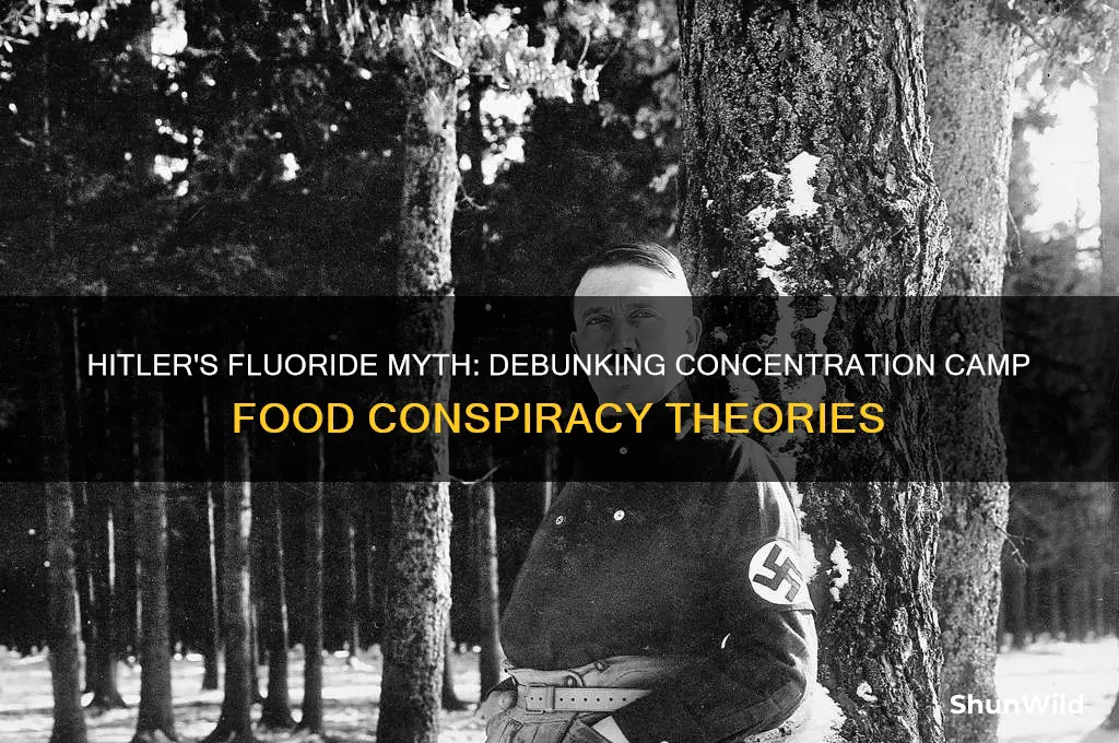 did hitler put flouride in the concentration camp food