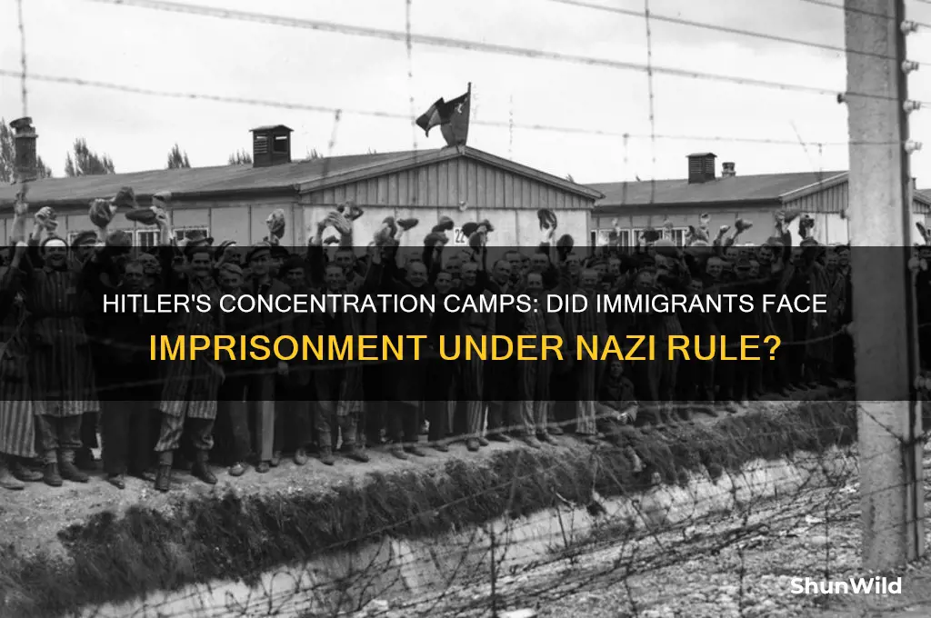 did hitler put immigranrs in concentration camps