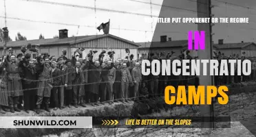 Hitler's Concentration Camps: Targeting Political Opponents and Regime Critics