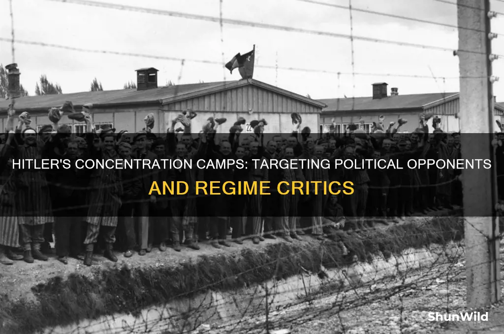 did hitler put opponenet or the regime in concentration camps