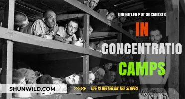 Hitler's Concentration Camps: Targeting Socialists and Political Opponents