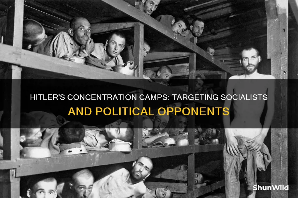 did hitler put socialists in concentration camps