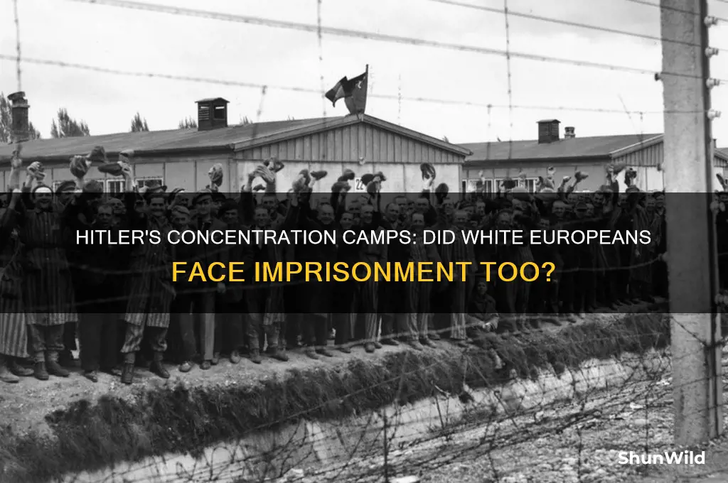 did hitler put white europeans in concentration camps
