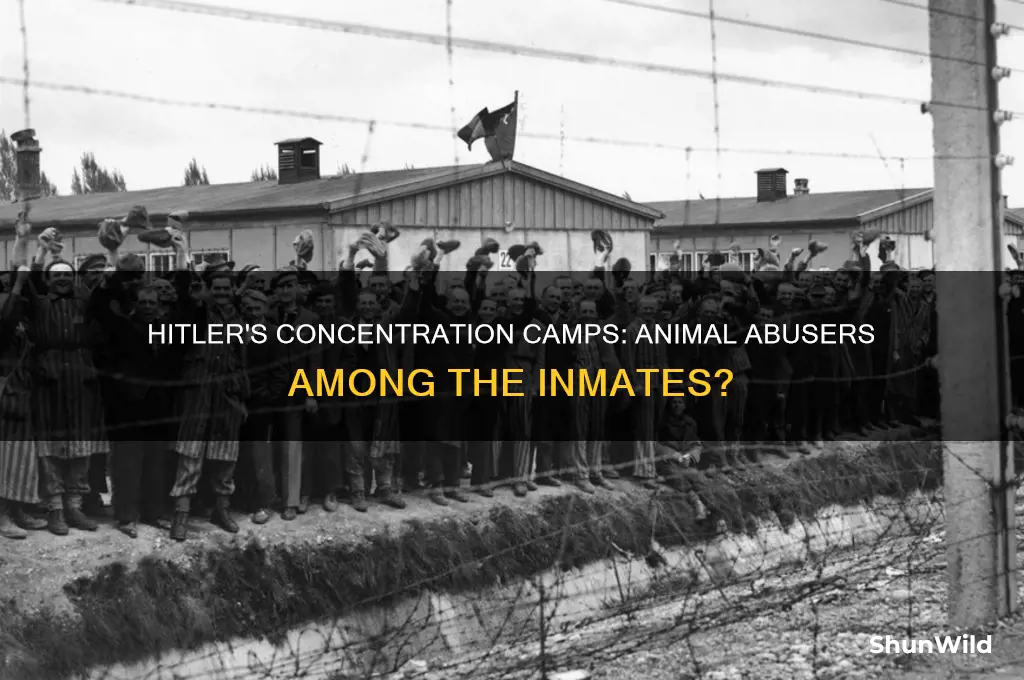 did hitler send animal abusers to concentration camps