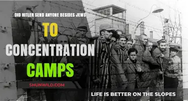 Beyond the Jews: Hitler's Other Victims in Concentration Camps