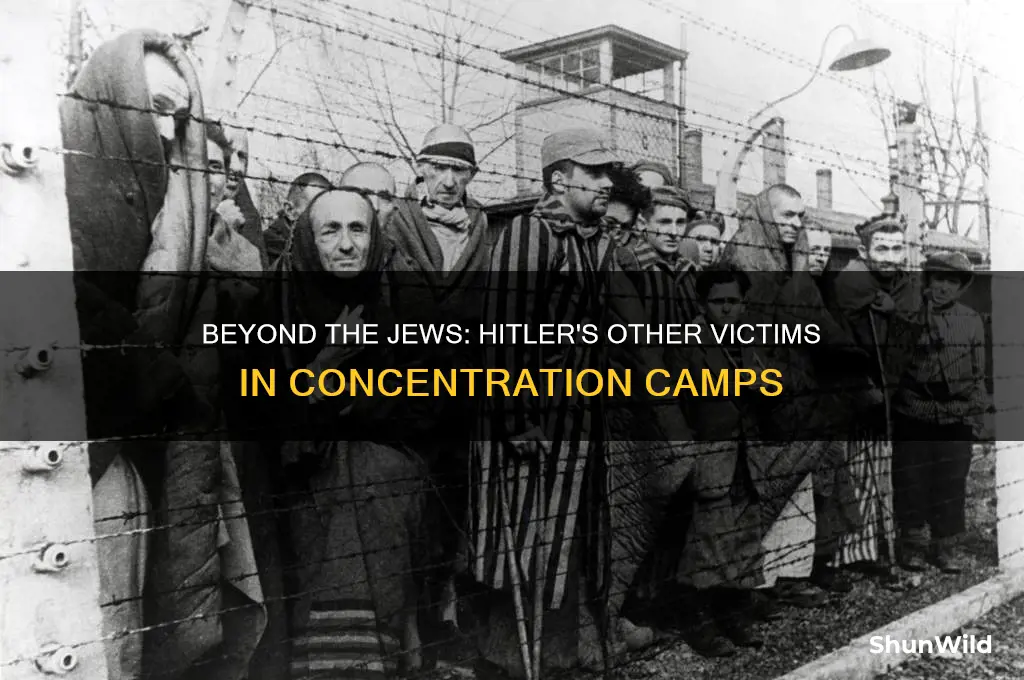 did hitler send anyone besides jews to concentration camps