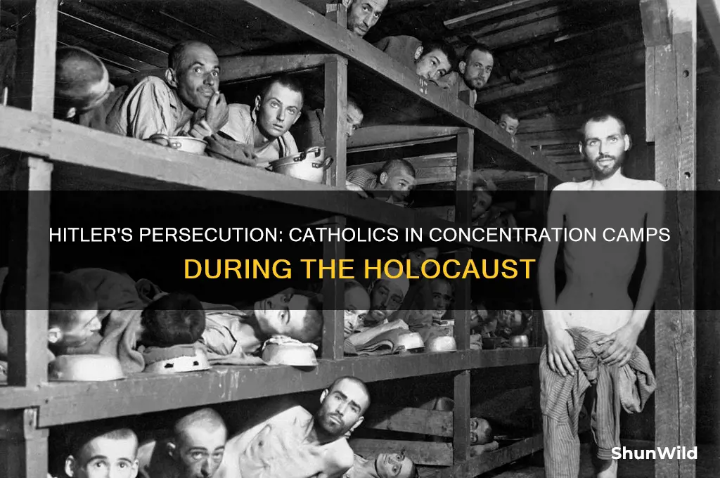 did hitler send catholics to concentration camps