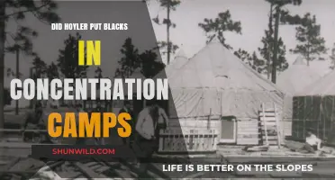 Hoyler's Role in Black Concentration Camps: Uncovering Historical Truths