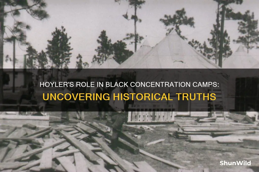did hoyler put blacks in concentration camps