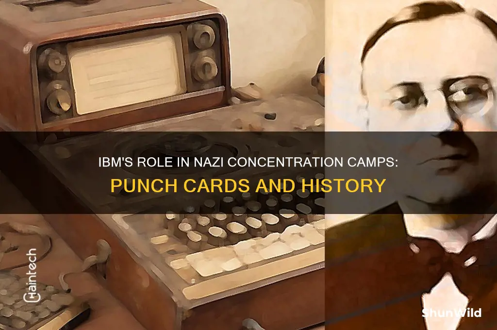 did ibm use punchcards duting nazi concentrations camps
