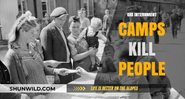 Internment Camps' Deadly Legacy: Uncovering the Human Toll of Incarceration