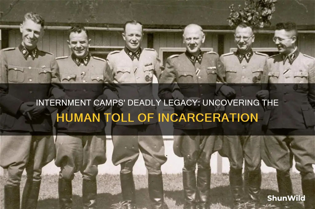 did internment camps kill people