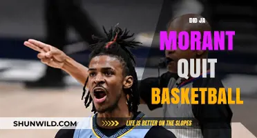 Ja Morant's Basketball Future: Quit or Continue?