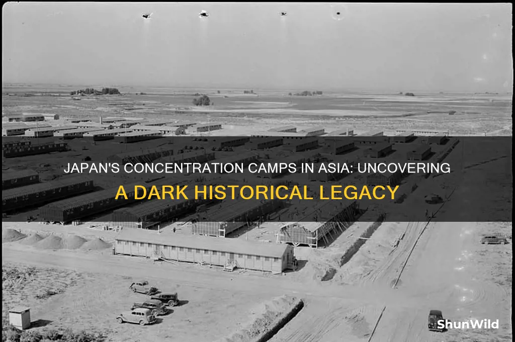 did japan concentration camps in asia