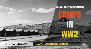 Japan's WWII Internment Camps: Uncovering the Hidden History