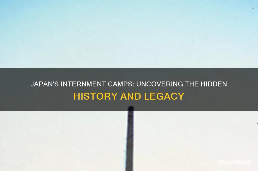 did japan have internment camps
