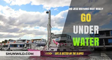 Jess Watson's Boat: The Truth Behind the Submerged Mystery