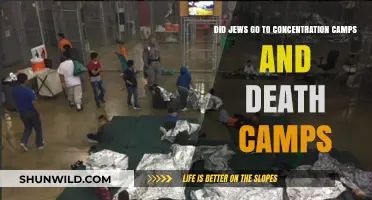 Jews in Concentration and Death Camps: Historical Facts and Insights