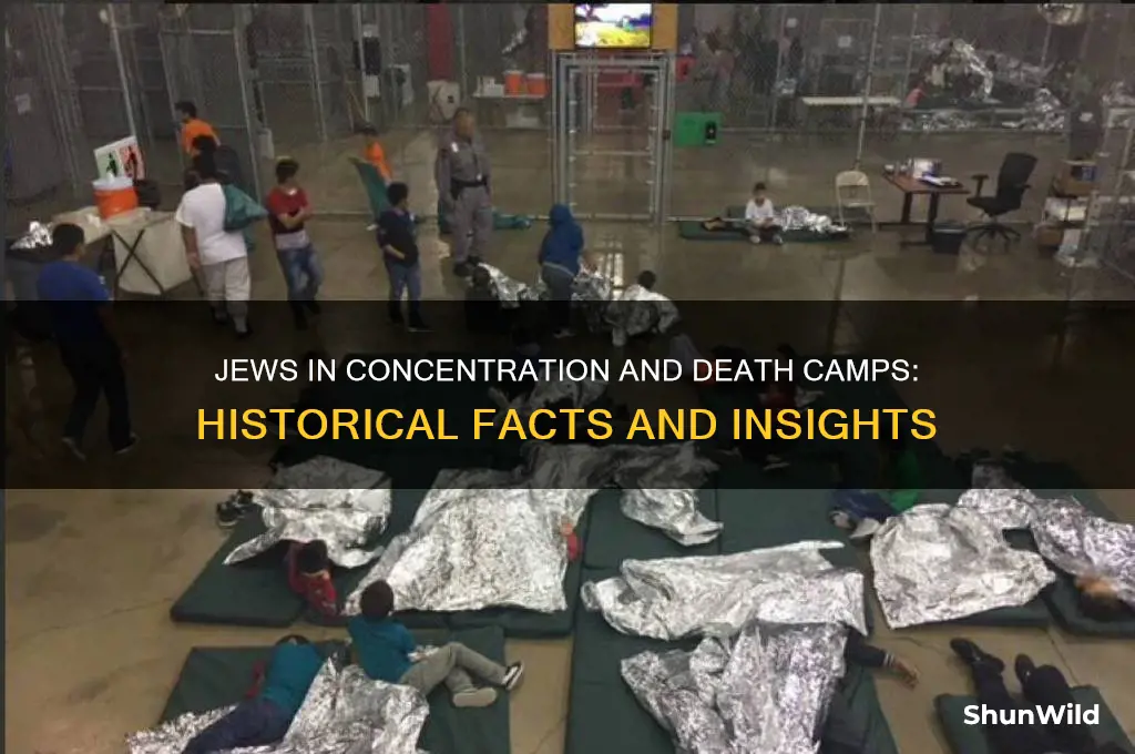 did jews go to concentration camps and death camps