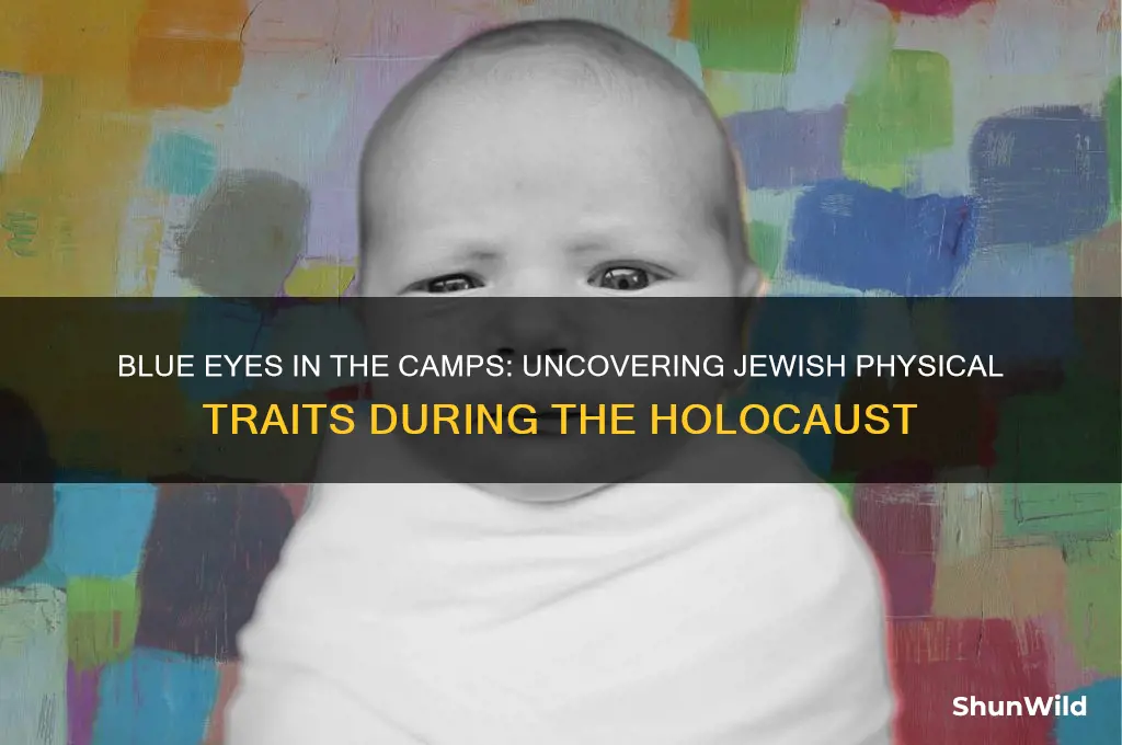 did jews have blue eyes in the concentration camps