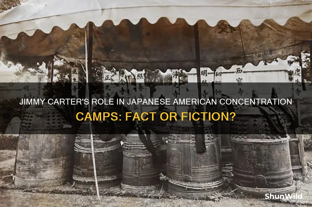 did jimmy carter put japanes in concentration camps in us